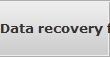 Data recovery for Levittown data